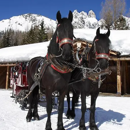 Appartement Hallmooshof Filzmoos