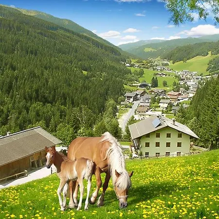 Hallmooshof Appartement *