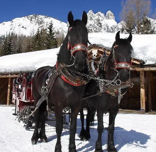 Lejlighed Hallmooshof Filzmoos