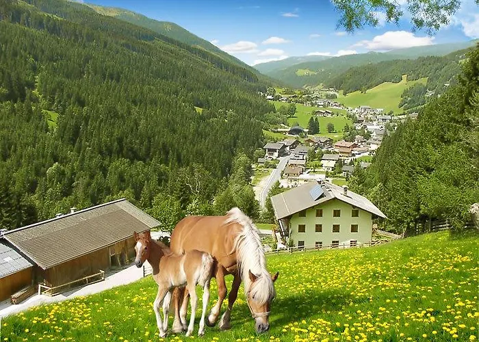 Hallmooshof Lejlighed *