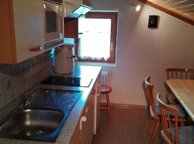 Lejlighed Hallmooshof Filzmoos